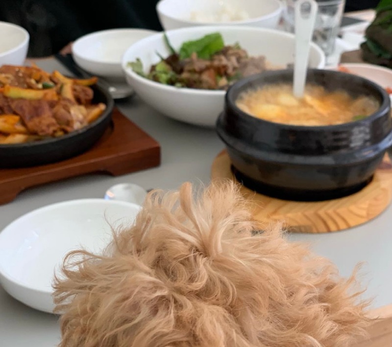 ﻿강아지와 함께하는 한식집 아이노테이블