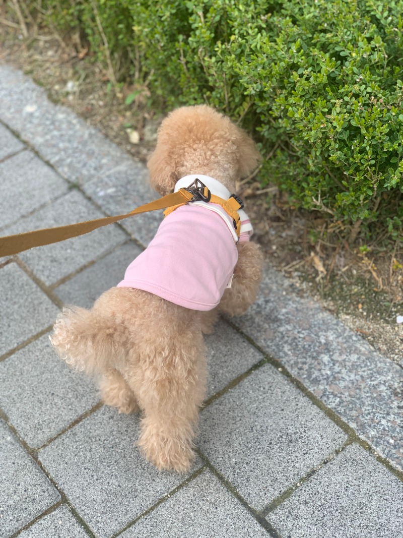 KakaoTalk_20220413_115750283_03.jpg
