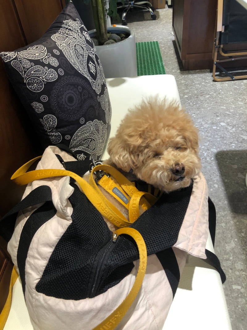 KakaoTalk_20220413_115809111_01.jpg