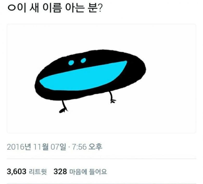 세상에 이렇게 생긴 새가 어딨어..??