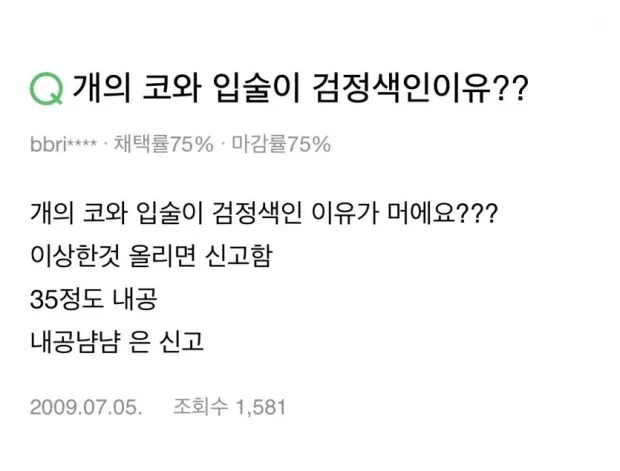 개의 코와 입술이 검정색인 이유