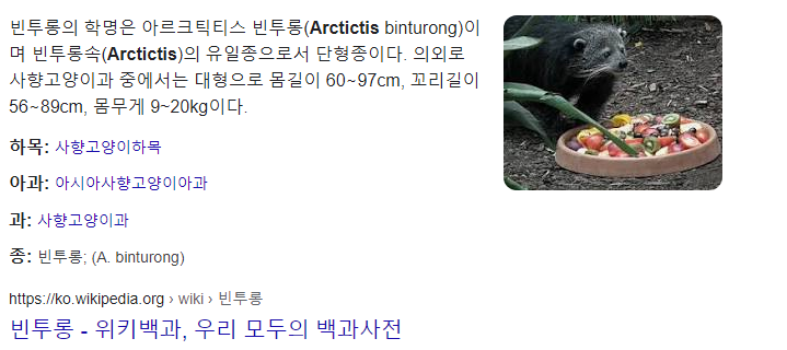 동남아의 곰고양이 - 빈투롱