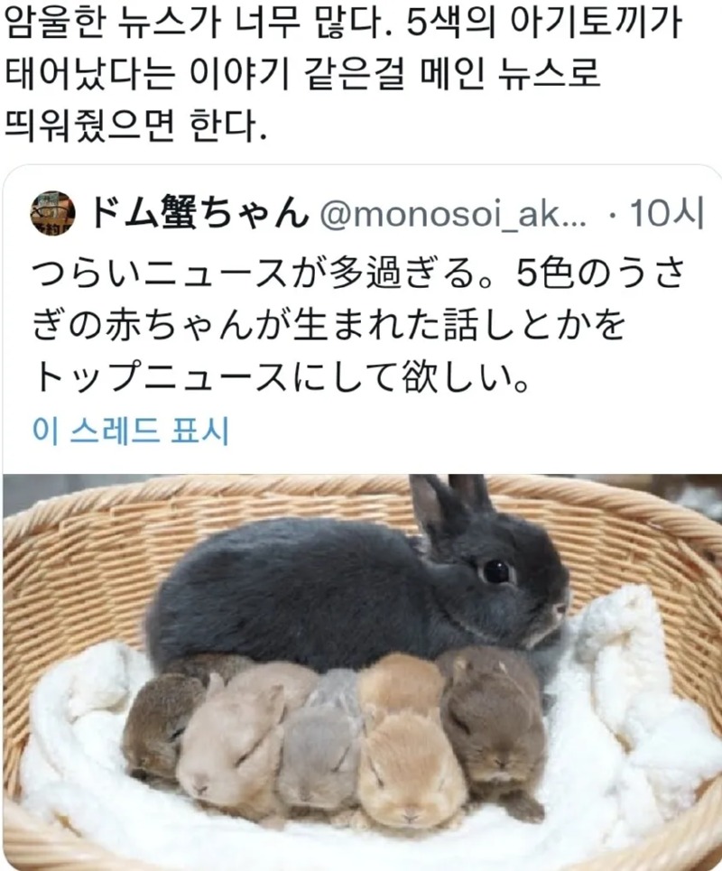 암울한 뉴스가 너무 많다. 