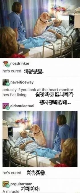 기적의 치유사