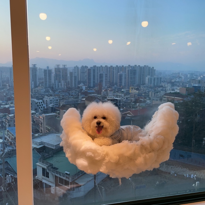 중랑구 똥강아지카페 다녀왔어용