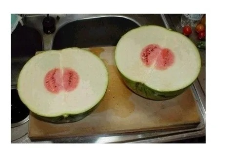 수박 사왔다가 아내한테 등짝 스매싱 맞았다...