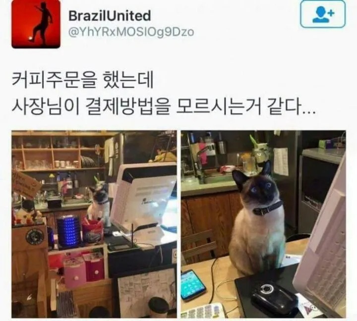 카페 사장님이 포스기를 사용할 주 모르는 거 같다.