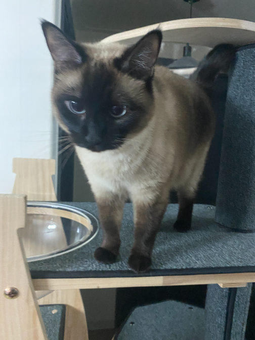 제목을 입력해주세요_-003.png
