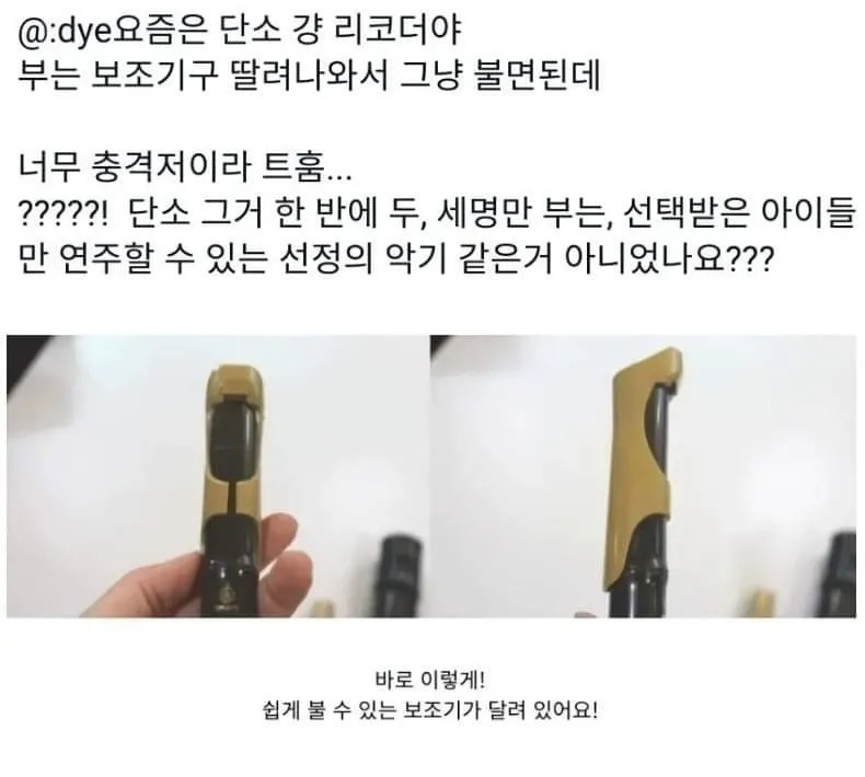 요즘 초등학교 단소 근황