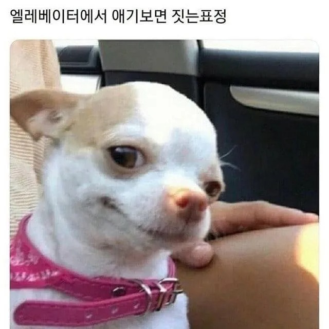 엘레베이터에서 애기를 보면 짓는 표정