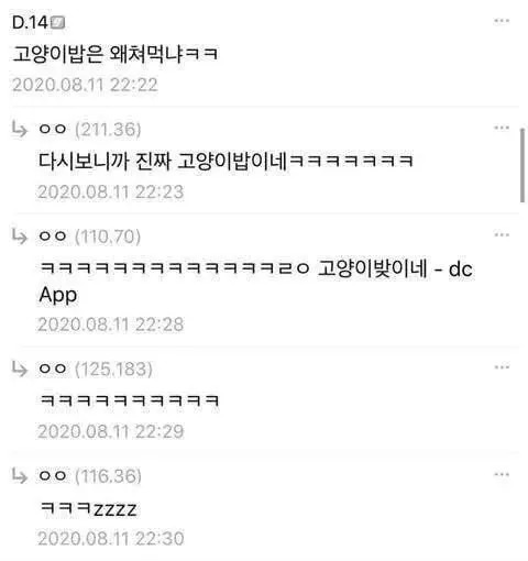 여BJ를 짝사랑한 고양이(?)