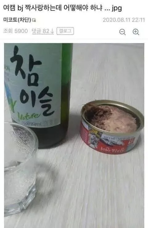 여BJ를 짝사랑한 고양이(?)