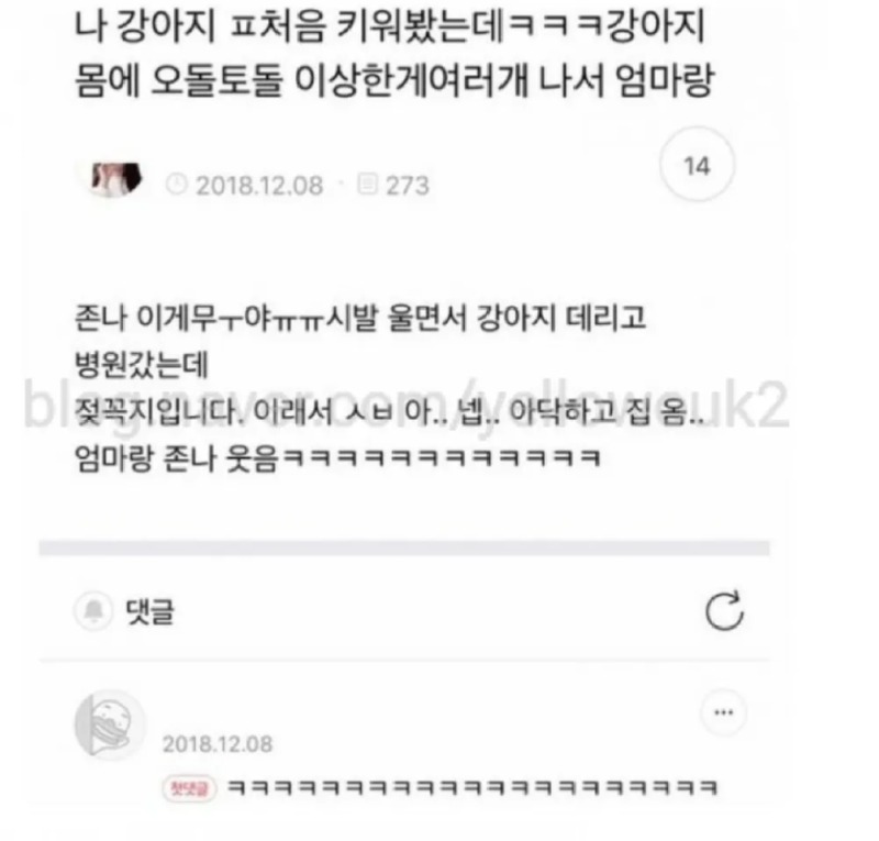 이번생에 강아지는 처음이라