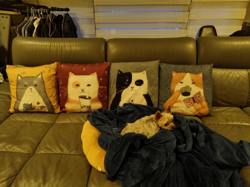 더워죽겠는데 아직도 한겨울 이불을ㅋㅋㅋ