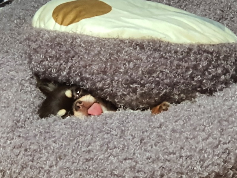 잘 자 