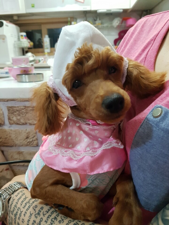 엄마가 미안해ㅋㅋㅋ