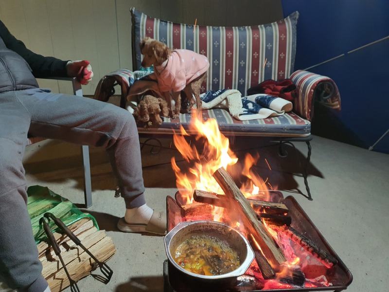 노는 개 제일좋아 애견펜션