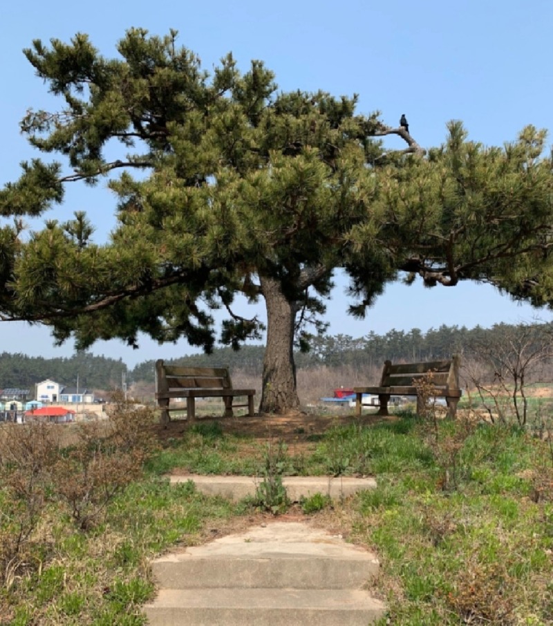 노는 개 제일좋아 애견펜션