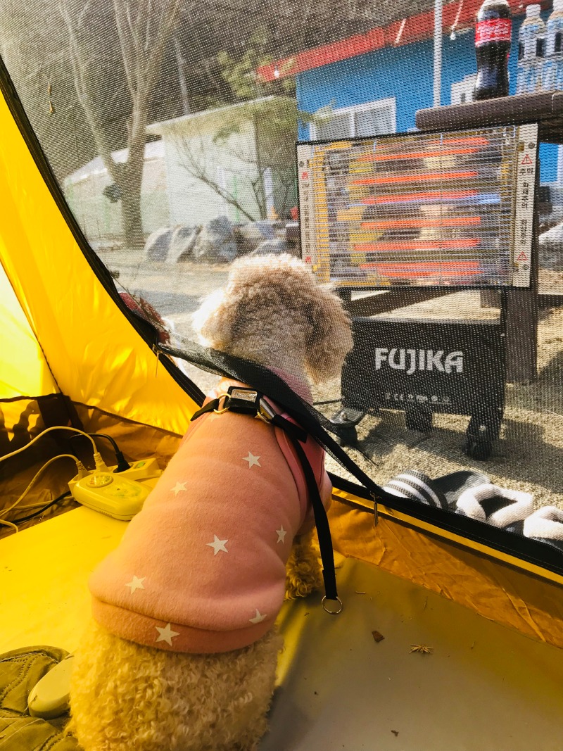충남아산 라포레캠핑장