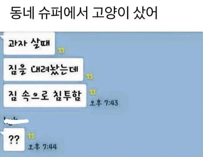 고양이 침투력.jpg
