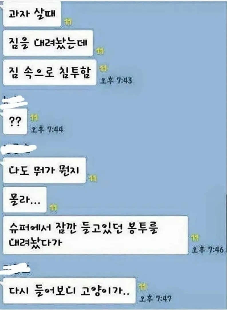 고양이 침투력.jpg