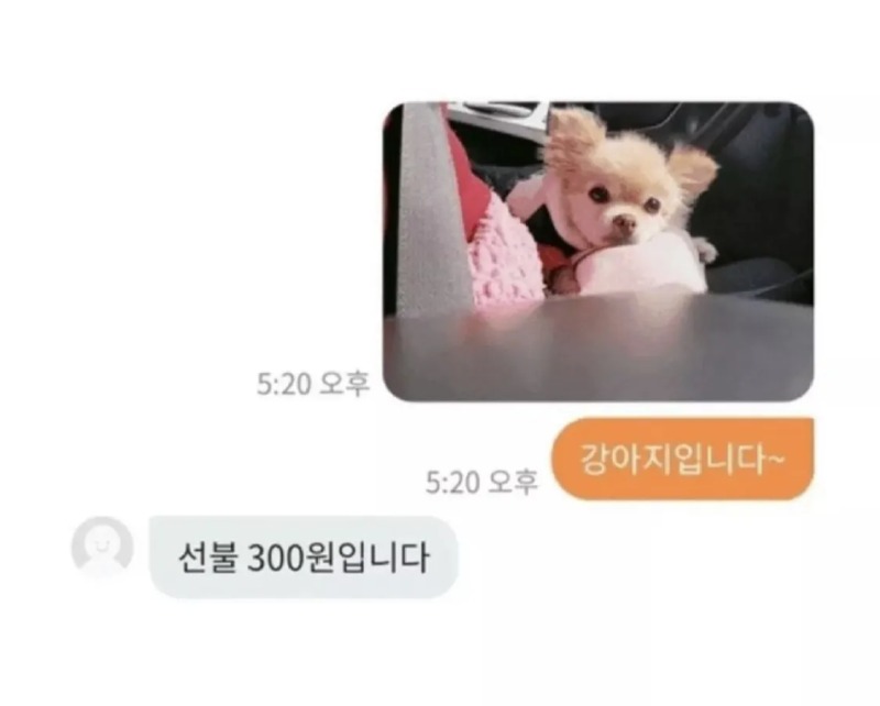 당근 300원 짜리 그림