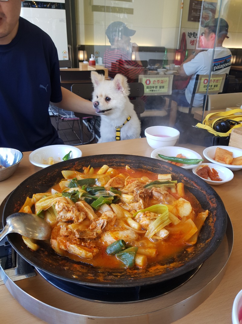 반려견 동반가능 <아랜역물닭갈비 청라점>