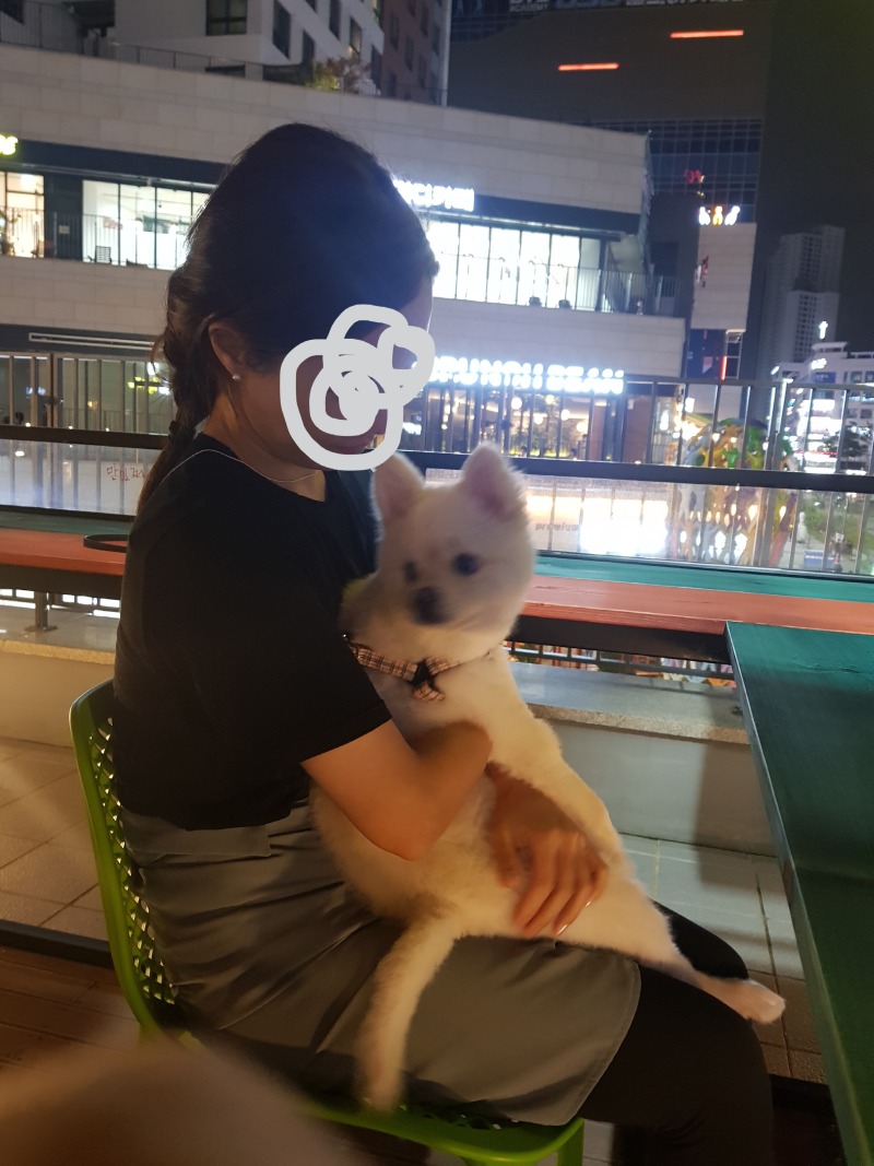 애견동반 가능 분위기맛집 <버거307 김포구래점>