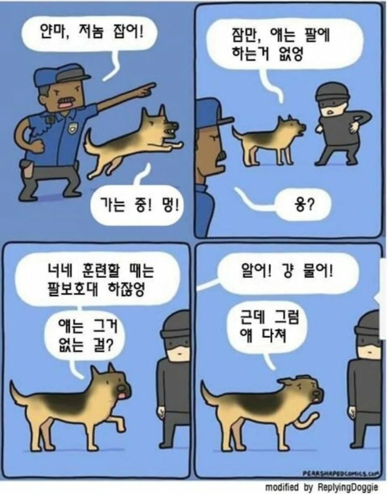 꽤 흔하다고 하는 경찰견 해고사유ㅠ