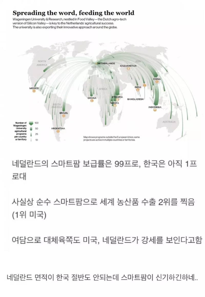 네델란드의 농산물 수출의 위엄 (세계 2위)