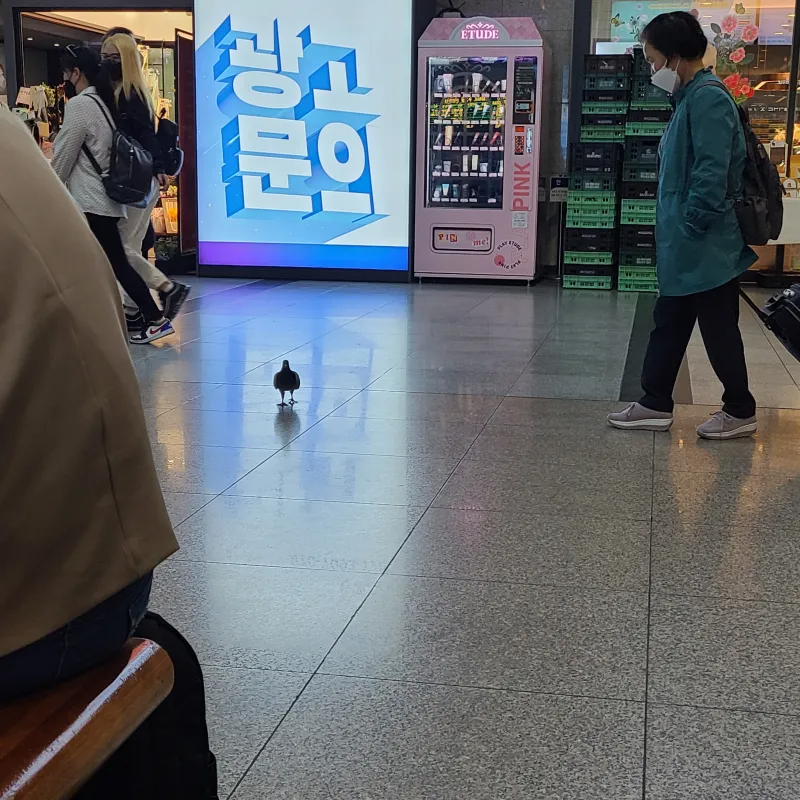 용산역 근황