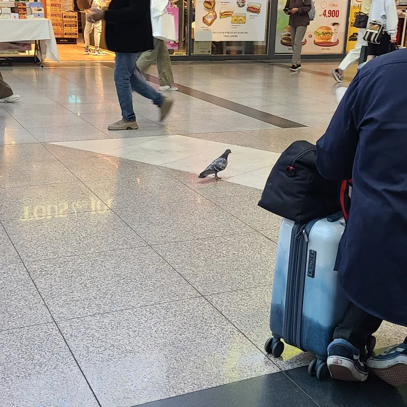 용산역 근황