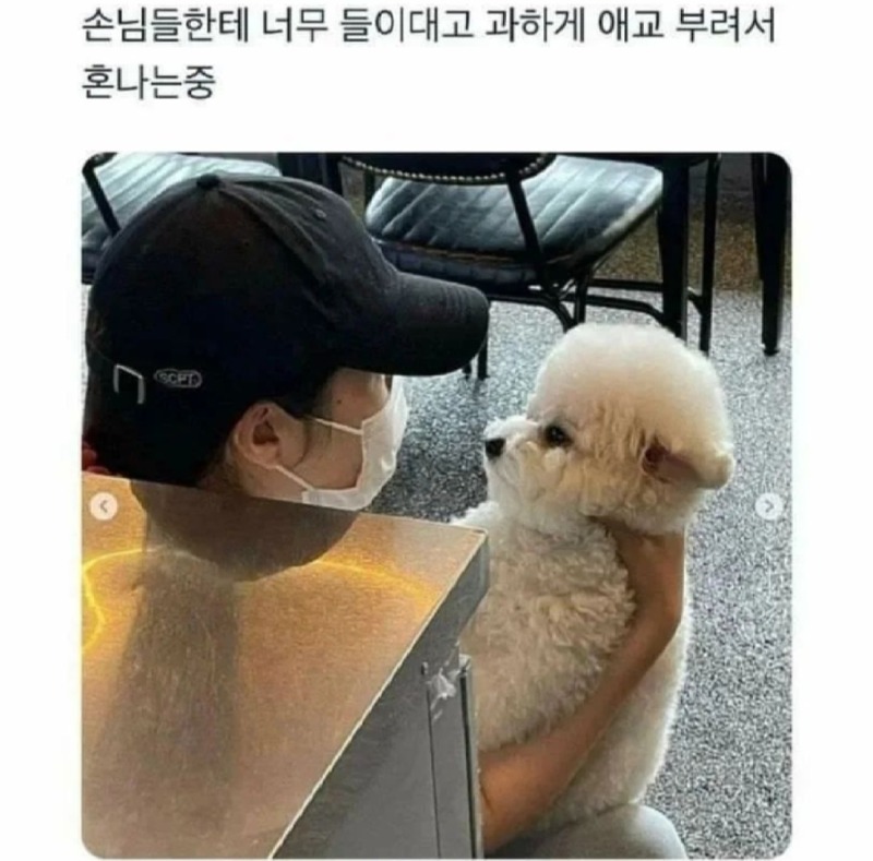 알바생이 혼난 이유는..?