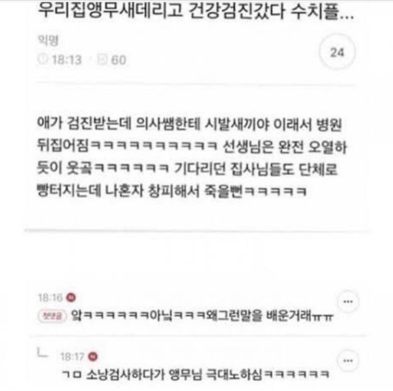 앵무새 키울 때 주의할 점!