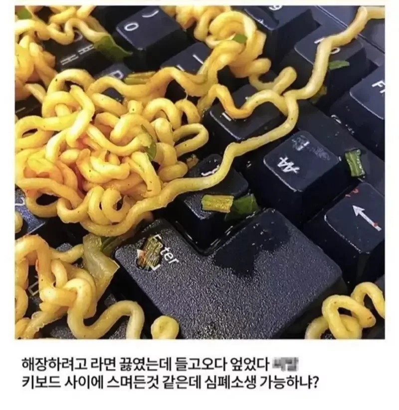 쏟아진 라면보고 이름을 맞춰버림
