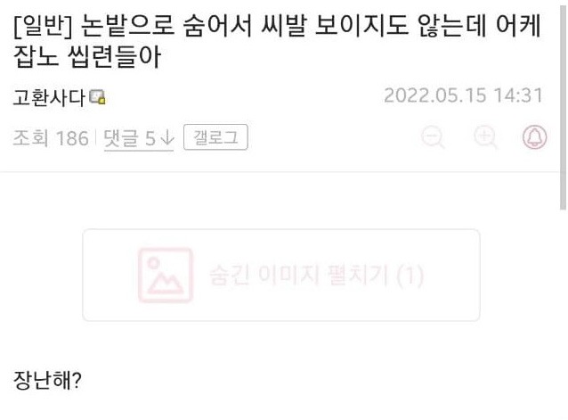 친구 보러 서울 올라가다 사고난 디씨인