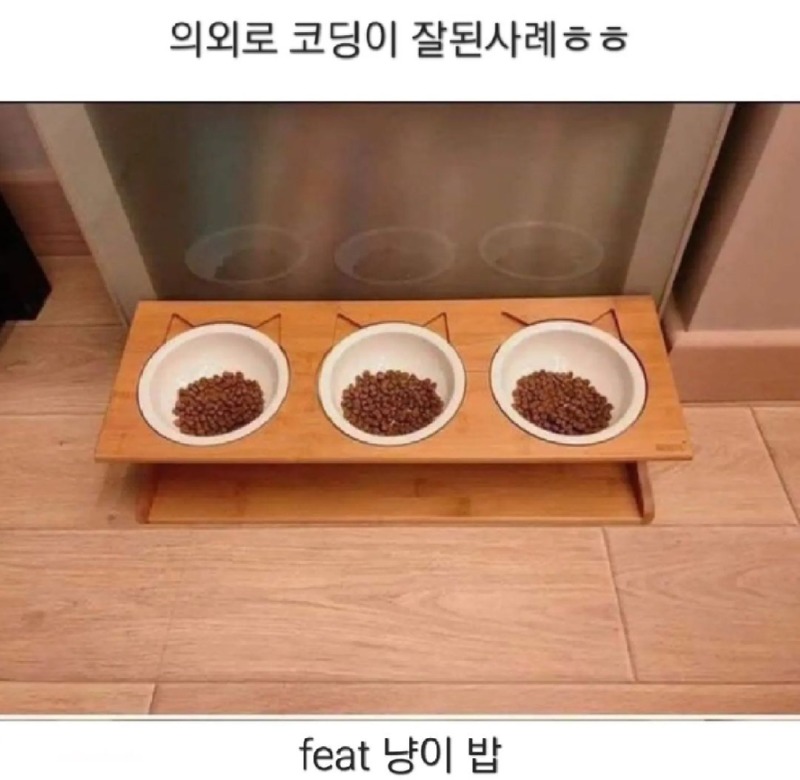 얘네 왜 이러는거죠..?