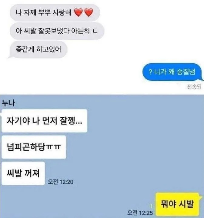 흔한 남매의 잘못 보낸 메시지