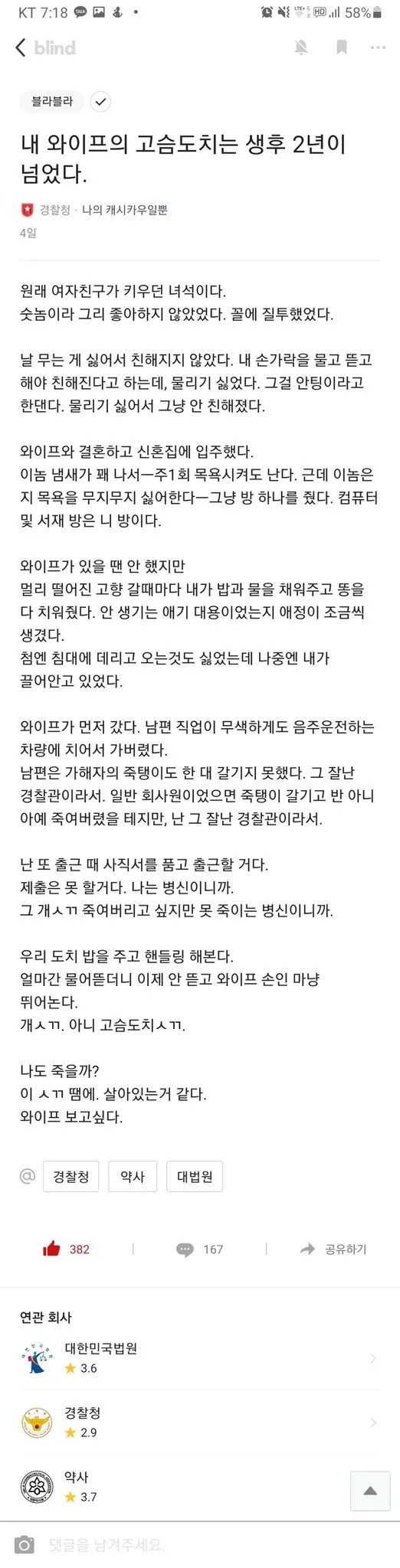 내 와이프의 고슴도치는 생후 2년이 넘었다.jpg