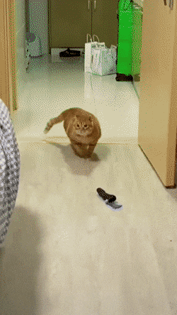 술취해서 들어온 룸메.gif