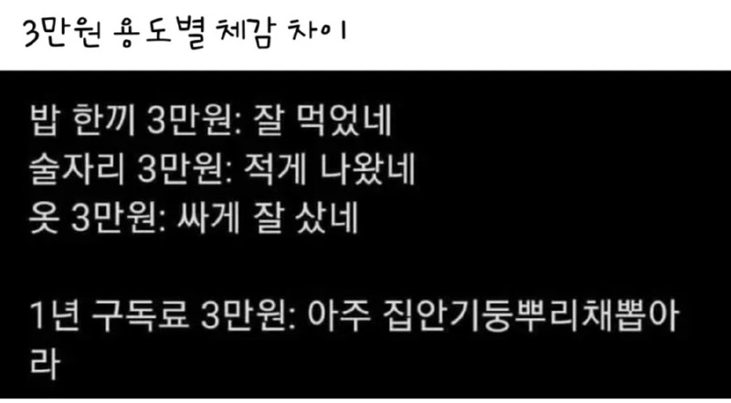 3만원 용도 별 체감 차이