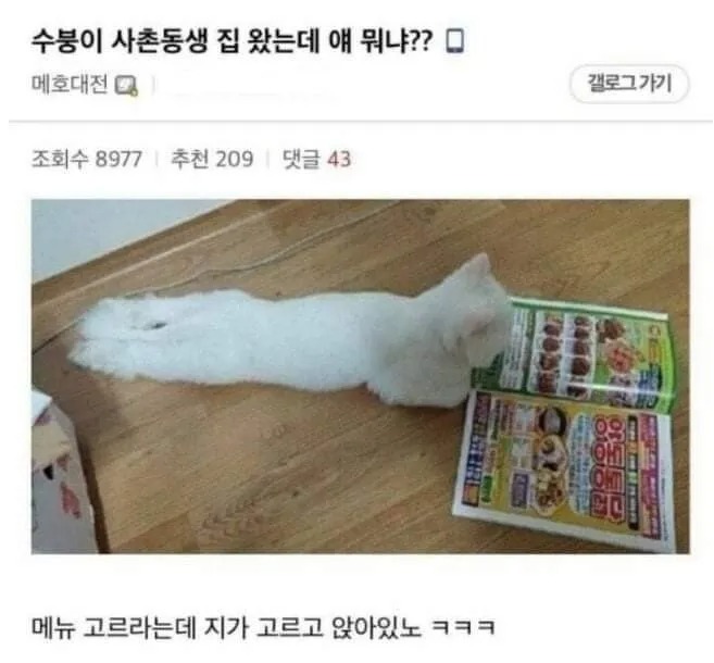 사촌 동생 집 갔는데.jpg