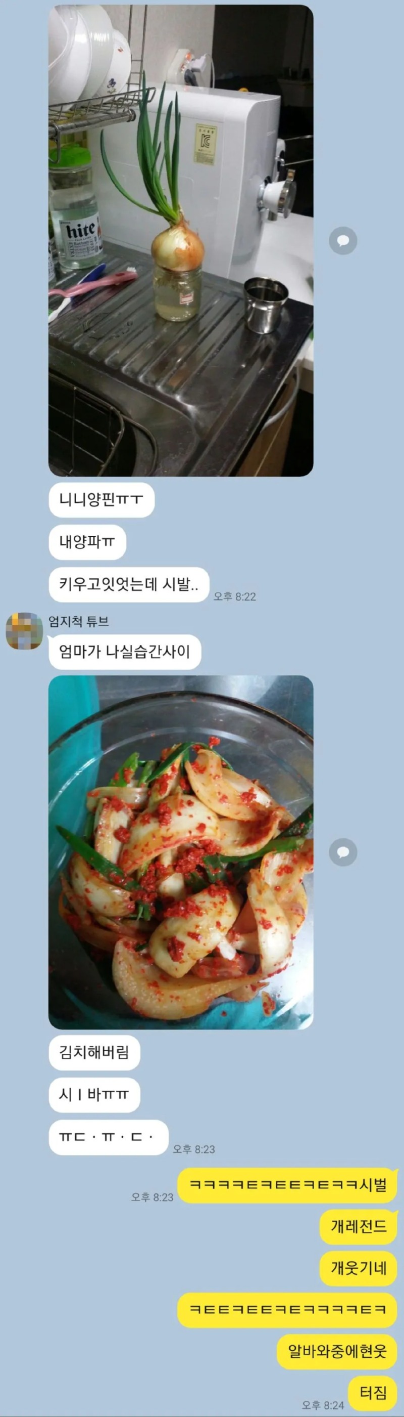 양파 김치