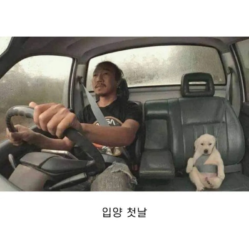 입양 첫 날과 현재