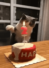 생일 축하 합니다~~! 짞짞짞