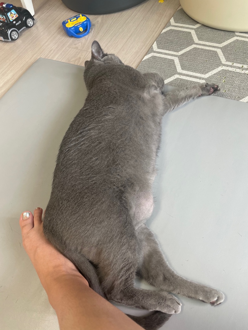 엄마랑 붙어있고 싶은 애기들 ㅎㅎ