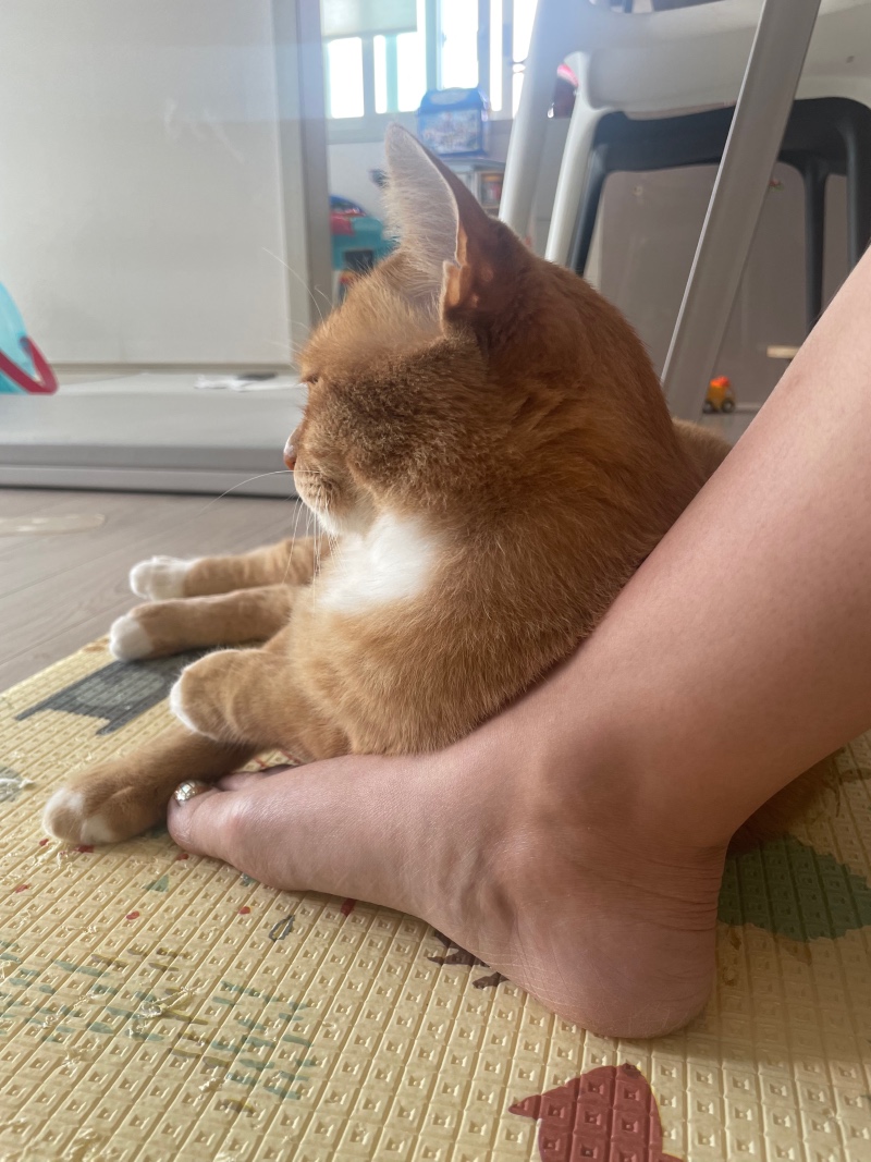 엄마랑 붙어있고 싶은 애기들 ㅎㅎ