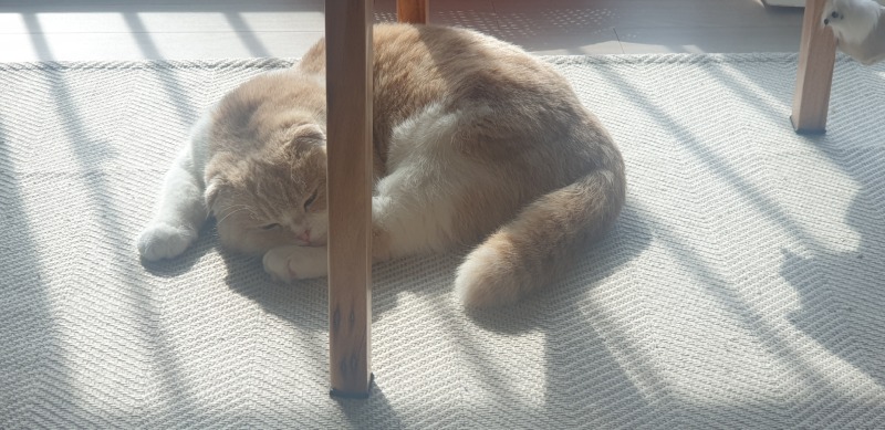 안녕하세요