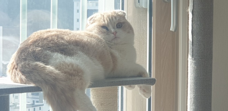 안녕하세요