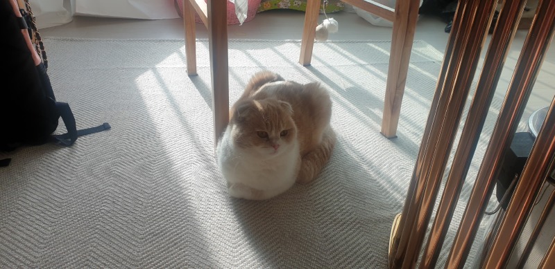 안녕하세요